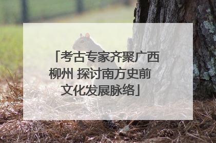 考古专家齐聚广西柳州 探讨南方史前文化发展脉络